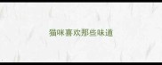猫咪喜欢那些味道