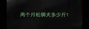 两个月松狮犬多少斤