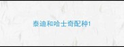 泰迪和哈士奇配种