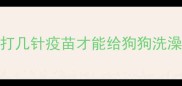 打几针疫苗才能给狗狗洗澡