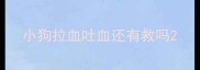 小狗拉血吐血还有救吗