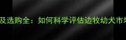 黑头边牧幼犬价格及选购全如何科学评估边牧幼犬市场行情与饲养要点