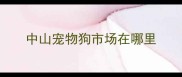 中山宠物狗市场在哪里