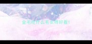 金毛吃什么毛长得好看