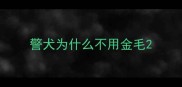警犬为什么不用金毛