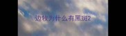 边牧为什么有黑斑