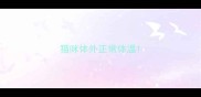 猫咪体外正常体温