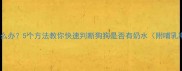 母犬奶水不足怎么办5个方法教你快速判断狗狗是否有奶水附哺乳期护理全攻略
