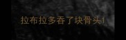 拉布拉多吞了块骨头