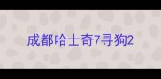 成都哈士奇7寻狗