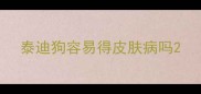 泰迪狗容易得皮肤病吗