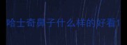哈士奇鼻子什么样的好看