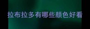 拉布拉多有哪些颜色好看