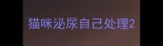 猫咪泌尿自己处理