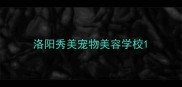 洛阳秀美宠物美容学校