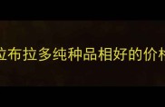 拉布拉多纯种品相好的价格