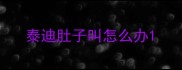 泰迪肚子叫怎么办