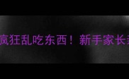 边境牧羊犬50天幼犬疯狂乱吃东西新手家长亲测有效的5大解决法