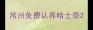 常州免费认养哈士奇