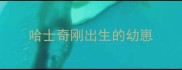 哈士奇刚出生的幼崽