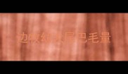 边牧幼犬尾巴毛量