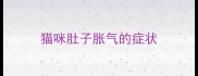 猫咪肚子胀气的症状