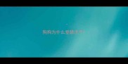 狗狗为什么爱舔爪子