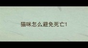 猫咪怎么避免死亡