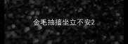 金毛抽搐坐立不安