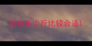 边牧多少斤比较合适