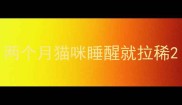 两个月猫咪睡醒就拉稀