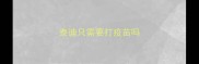 泰迪只需要打疫苗吗