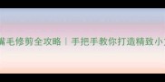 泰迪犬嘴毛修剪全攻略手把手教你打造精致小方脸