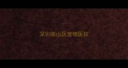 深圳南山区宠物医院