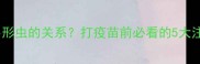 狗狗疫苗和弓形虫的关系打疫苗前必看的5大注意事项