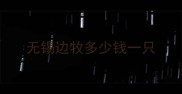 无锡边牧多少钱一只