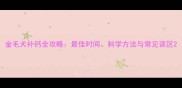 金毛犬补钙全攻略最佳时间科学方法与常见误区