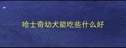 哈士奇幼犬能吃些什么好