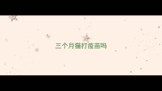 三个月猫打疫苗吗
