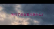 狗打了疫苗要注意什么