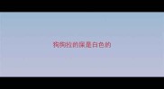 狗狗拉的屎是白色的