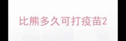 比熊多久可打疫苗
