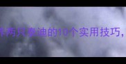 双泰迪家庭必看养两只泰迪的10个实用技巧新手也能轻松上手