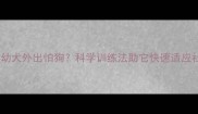 拉布拉多幼犬外出怕狗科学训练法助它快速适应社交环境