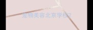 宠物美容北京学校