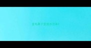 金毛鼻子里流水出来