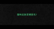 猫咪皮肤变硬脱毛