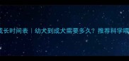狗狗成长时间表幼犬到成犬需要多久推荐科学喂养指南