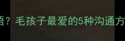 哈士奇爱斯基摩语毛孩子最爱的5种沟通方式附训练全攻略
