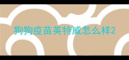 狗狗疫苗英特威怎么样